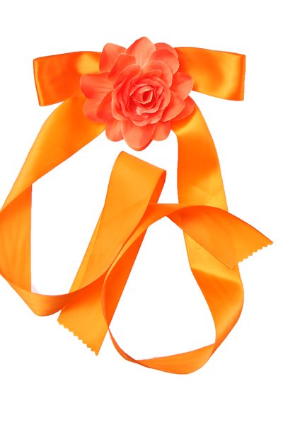 orange ribbon and rose sash